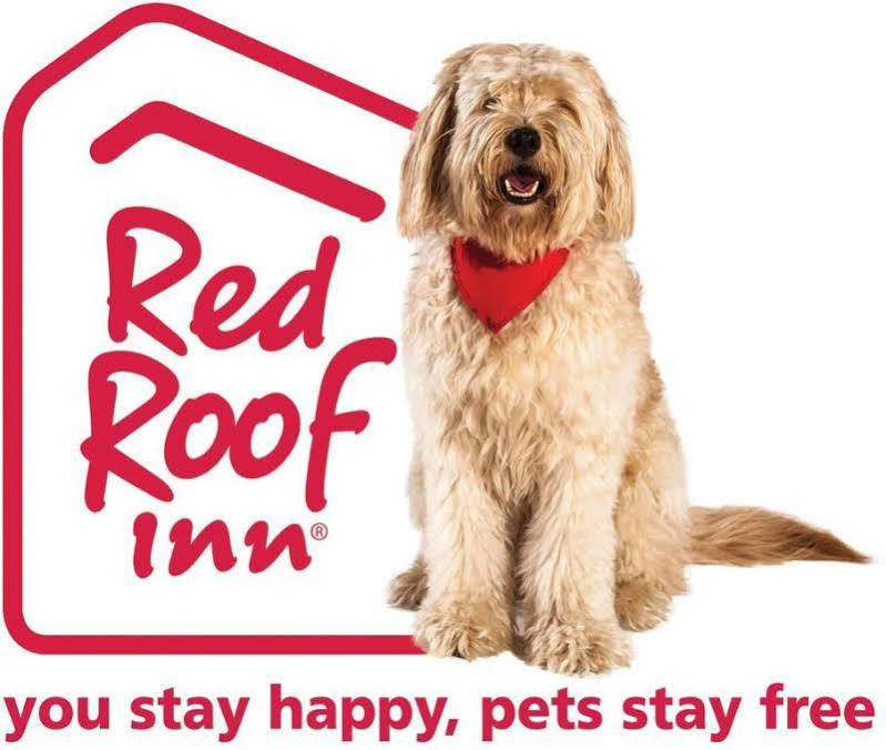 Red Roof Inn Cleveland Airport - Middleburg Heights Extérieur photo